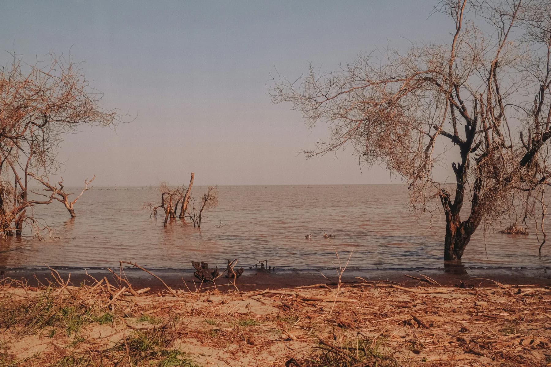 Shoreline and shallow water at Lake Manyara