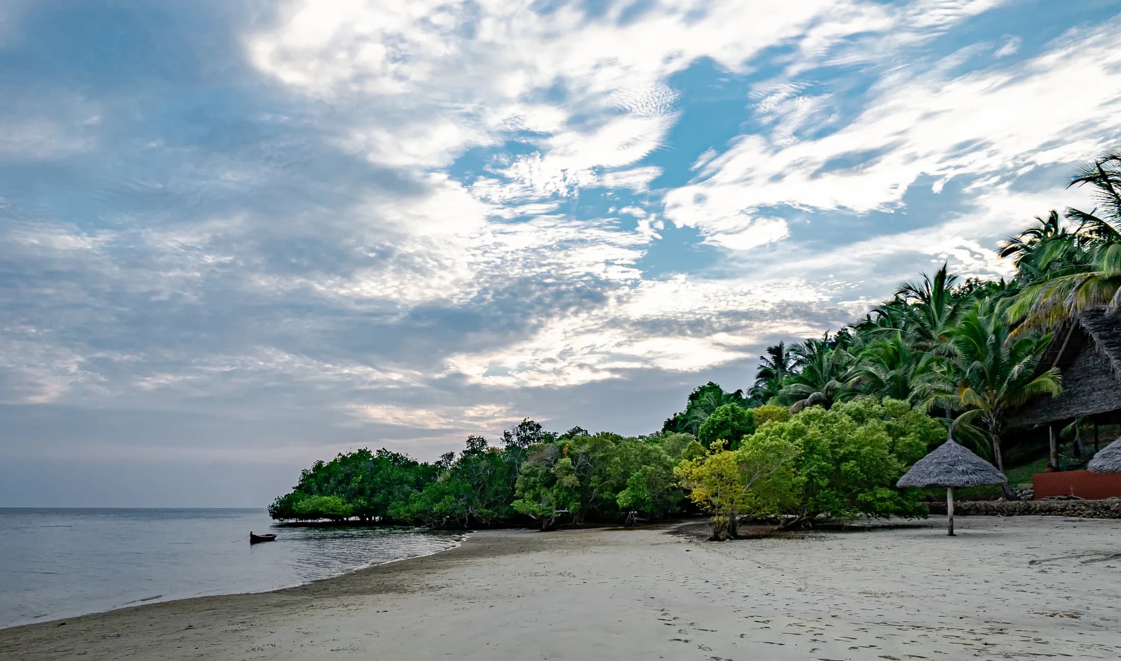 Sandy beach beside mangroves and coconut palms on Mafia Island, Tanzania