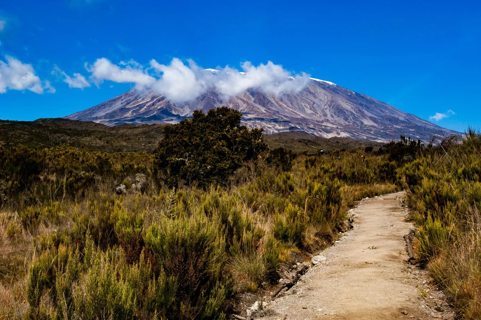Kilimanjaro above a mountain trail