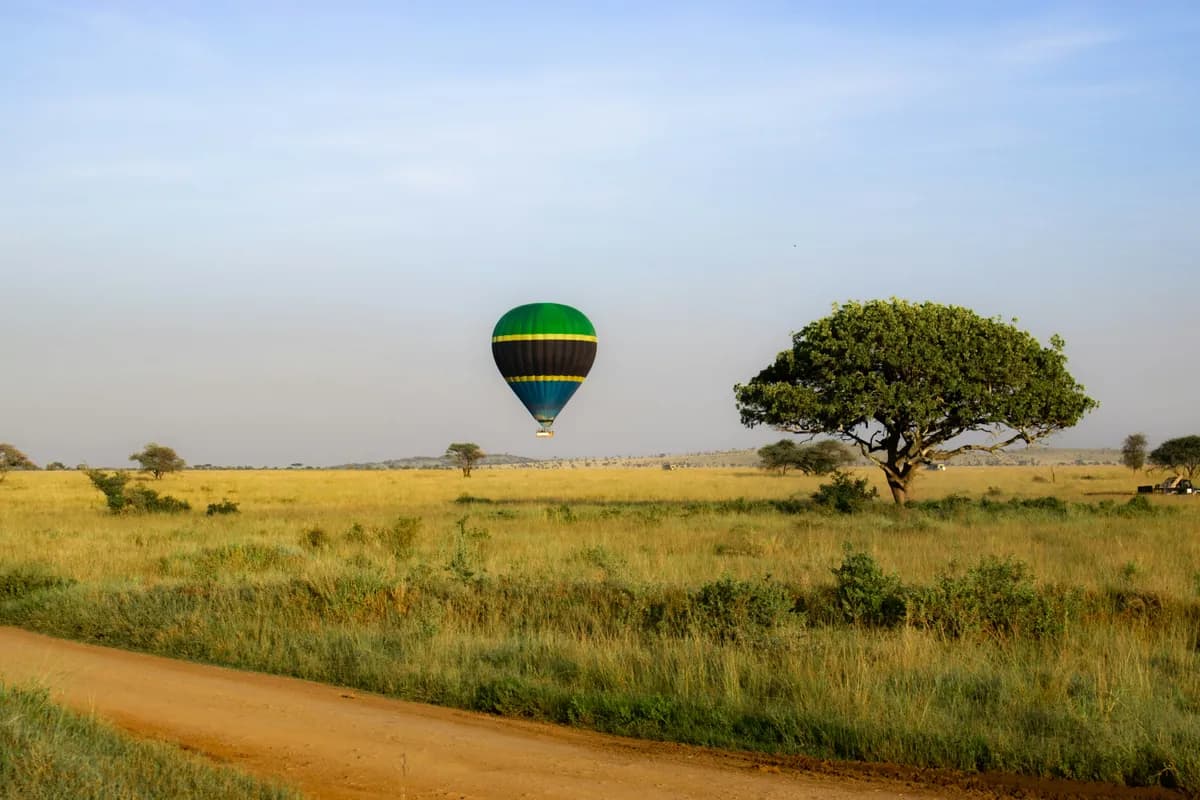 Hot-air balloon above the Serengeti