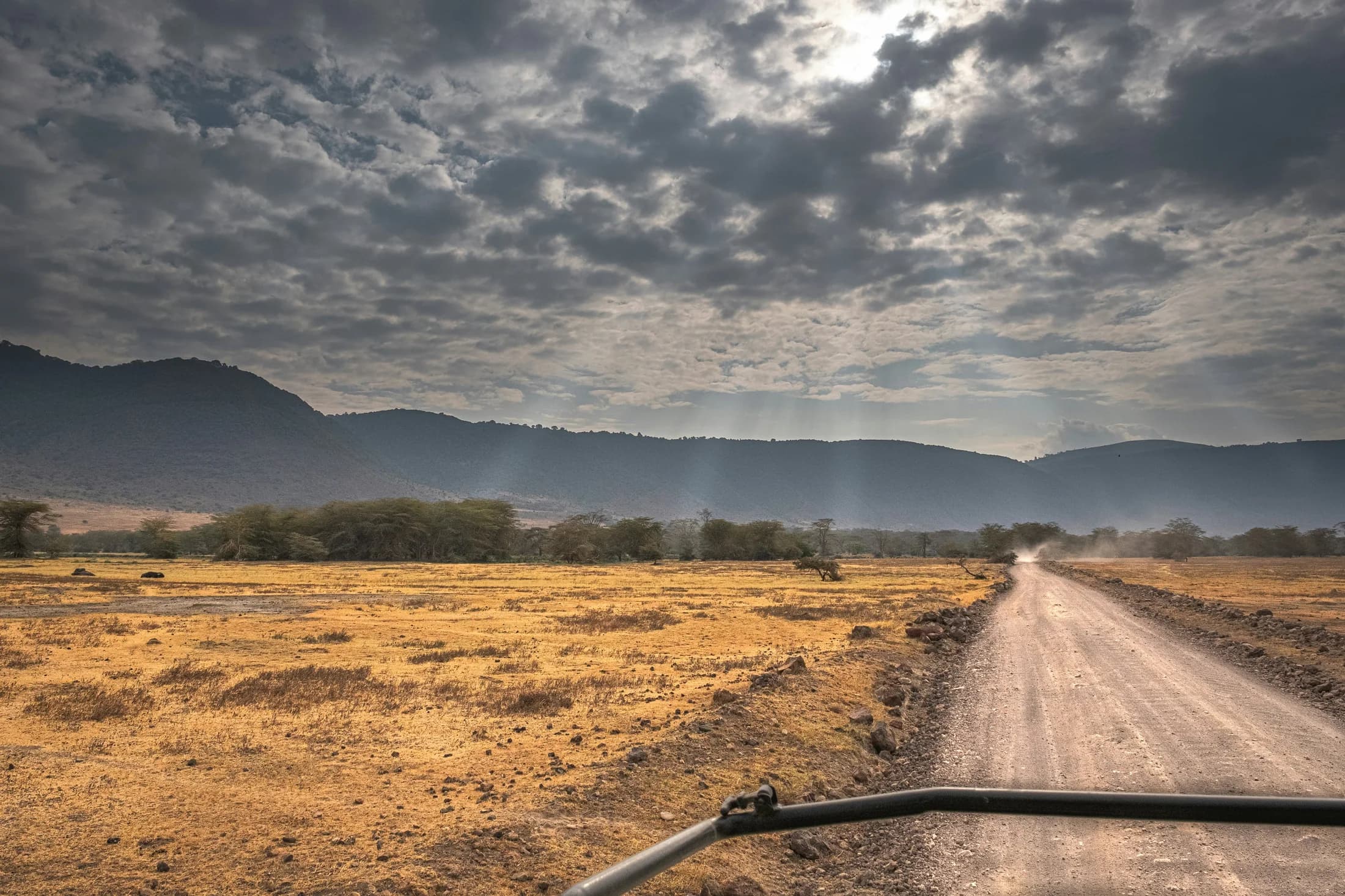 A dirt road crossing Ngorongoro Crater beneath dramatic clouds