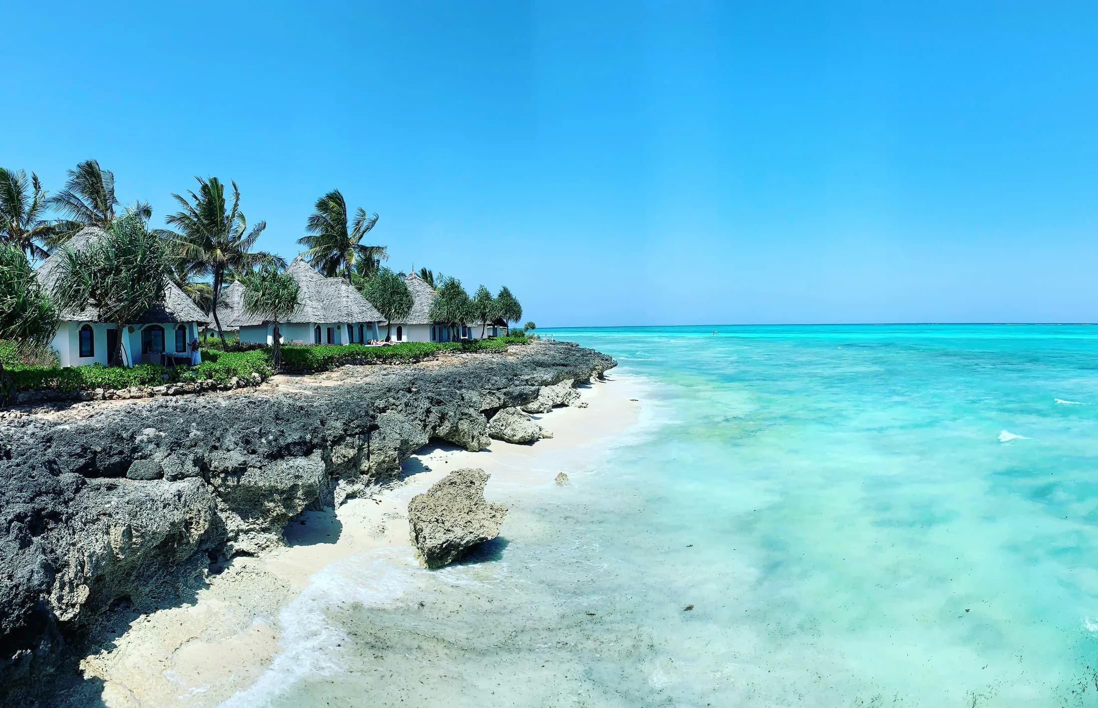 Palm-lined bungalows above a rocky shoreline and turquoise water in Zanzibar