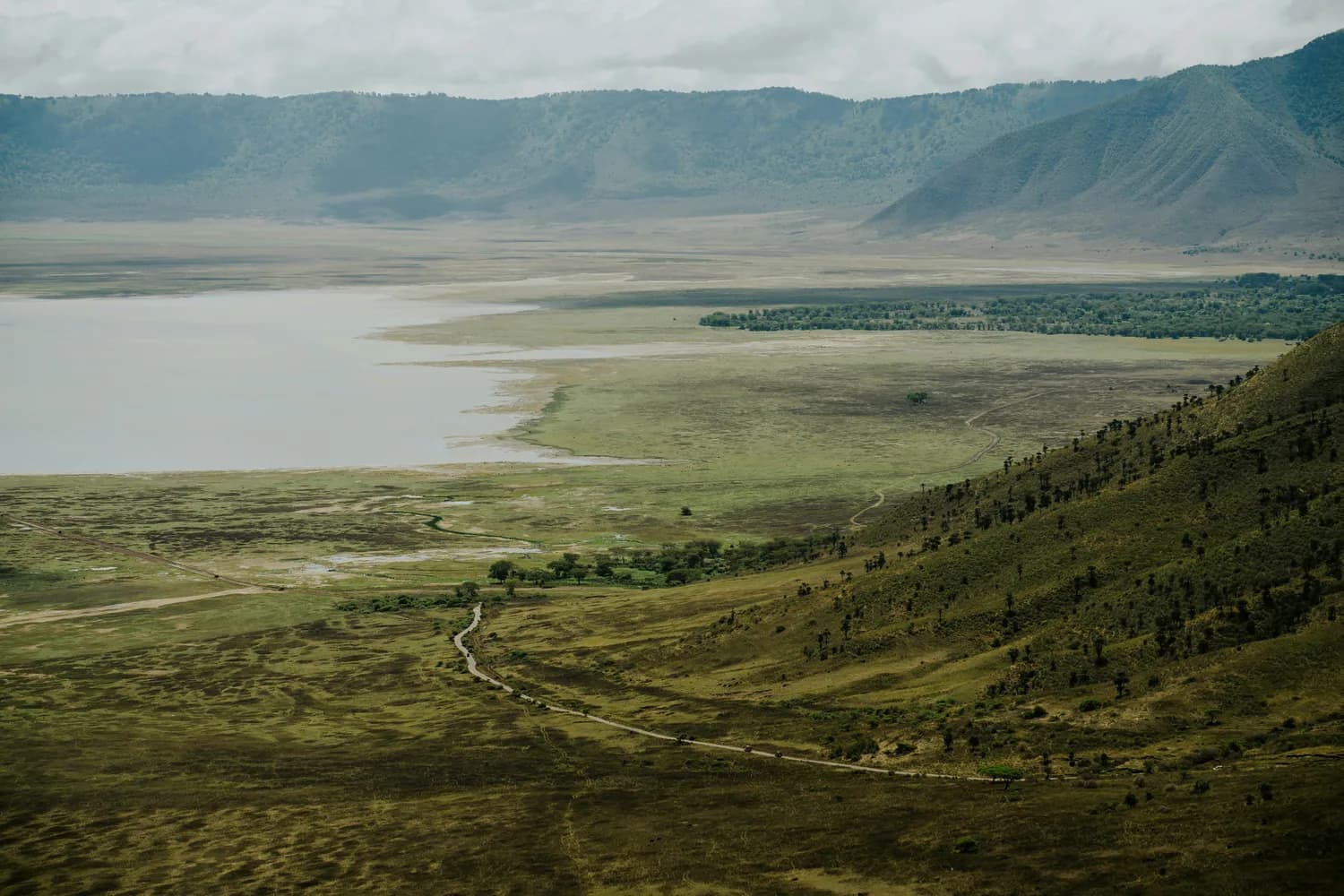 View into Ngorongoro Crater
